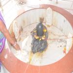 Vraj-Yatra-2014- (2525)